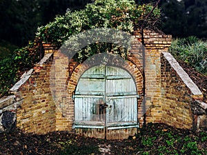 Locked shabby door of old cellar in abandoned forest.