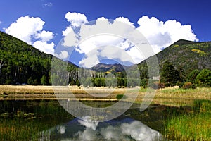 Lockett meadow