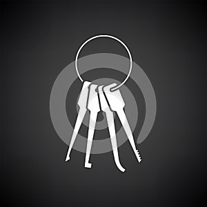Lockpick Icon