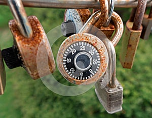 Locks on a bridge railing in Ottawa symbolizing love