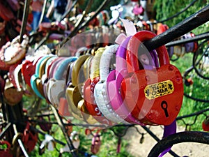 Locks of love and fidelity on the wedding trees of happiness
