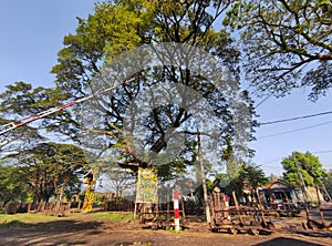 The Loco of sugar factory in java indonesian