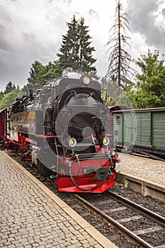 Locomotive arriving at a train station with trees