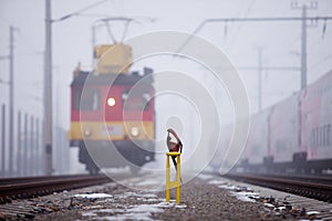 Locomotive on railway