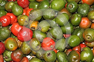 Locoto peppers photo