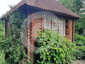 Lod house in cottage garden
