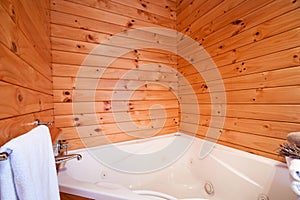 Lodge bathroom interior img