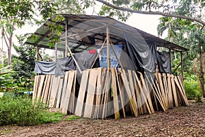 Lodge, Cuyabeno National Park