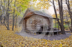 Lodge inside greenwood in autumn