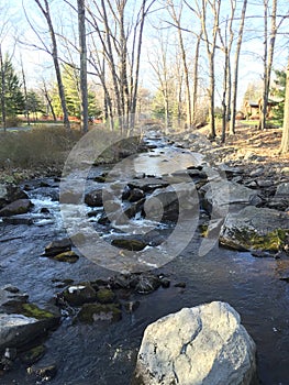 Lodge-side babbling brook