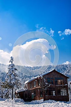 Lodge in snowy mountains