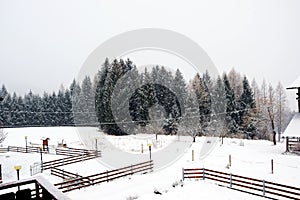 Lodges, landscape, snow roof background, winter in Dolomiti mountains, in Cadore, Italy