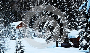 Lodges of old wood covered by snow, trees,winter in Dolomiti mountains, in Cadore, Italy