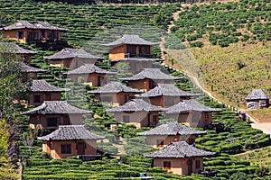 Lodging houses at Ban Rak Thai