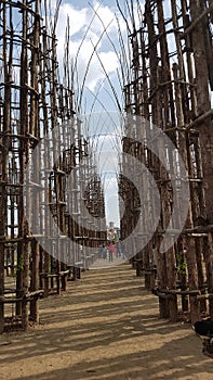 Lodi, Giuliano Mauri`s Cattedrale Vegetale