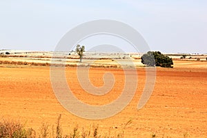 Loess landscape in Spain near Albacete photo