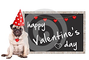 Loevel cute pug puppy dog wearing party hat with hearts, sitting next to blackboard sign with text happy valentine`s day, on white