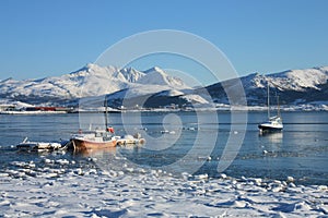 Lofoten boats floating on the ice