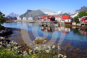 Lofoten Islands III photo