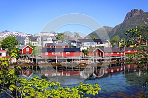 Lofoten Islands XII