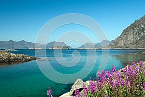 Lofoten seascape