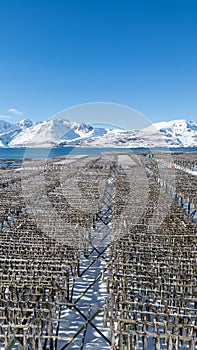 Lofoten winter time traveling on fjords of norway, aerial view ,polar circle weather