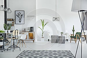 Loft interior in scandinavian style photo