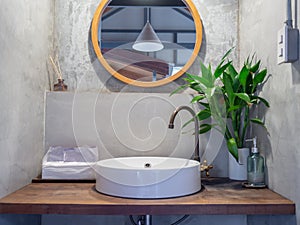 Loft style bathroom interior. Round mirror on concrete wall with brass faucet, white sink basin, green leaves in ceramic vase and