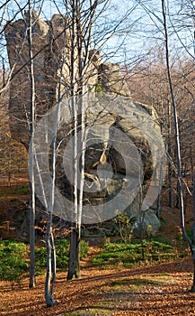 Lofty stone in forest