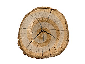 Log