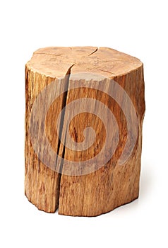 Log