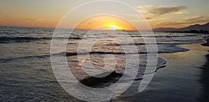 Log in the beach water at sunset in Camarillo photo