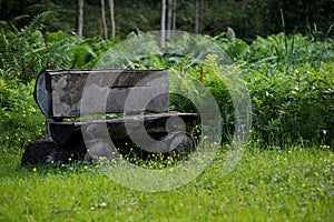 Log bench in the forest