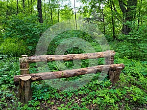 Log Bench in a Green Forest