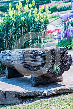 Log bench in park