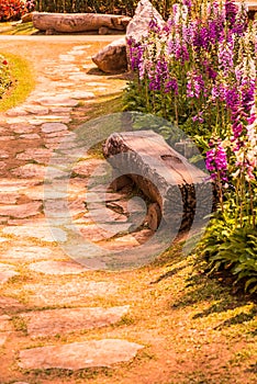 Log bench in park