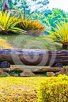 Log bench in park