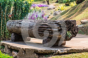 Log bench in park