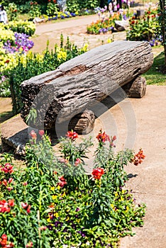 Log bench in park