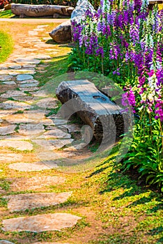 Log bench in park