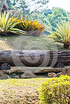 Log bench in park