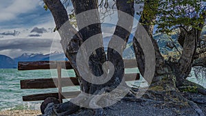 A log bench stands by the shore of the emerald lake