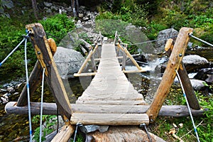 Log bridge over a mountain stream in Retezat Mountains, Romania. photo