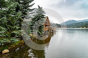 A log building and evergreen trees in Colorado