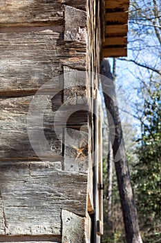 Log cabin building dovetail joints from historic home early 1800s