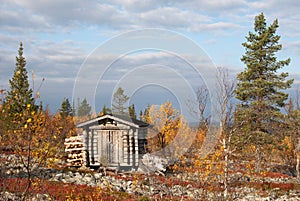 Log Cabin in Deep Taiga Forest