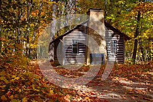 Log Cabin in Fall Woods