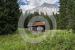 Log cabin in the forest