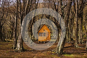 Log cabin in forest tierra del fuego patagonia argentina photo