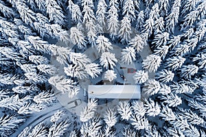 Log cabin in a forest in winter - Aerial view